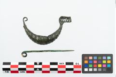 Foto von Bronzekahnfibel (NHMW-PRAE-025966)